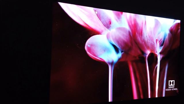 CES 2020 : TCL présente sa gamme QLED 8K смотреть онлайн