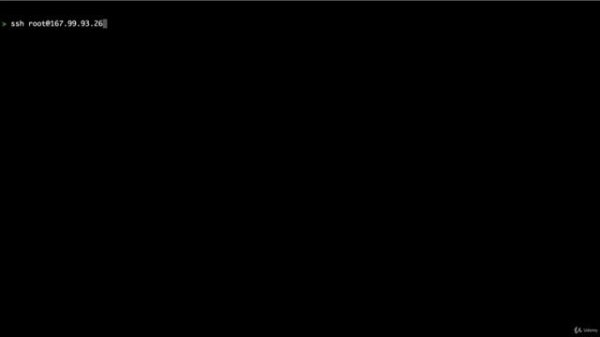 02-02 Installing with a Package Manager