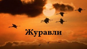 Журавли. Исполняет Фарит Бикбулатов. #песня #музыка  #солдаты #журавли #память #песни военных лет