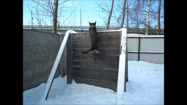 Линда.Портфолио. смотреть онлайн