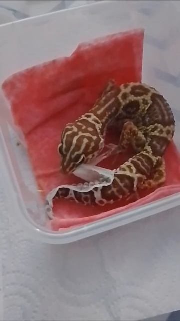 песня подходит идеально))) смотреть онлайн