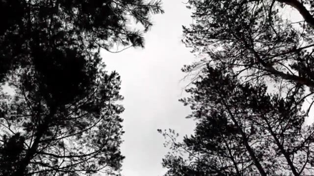 Следите за языками вашими