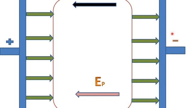 Electric Field Is Zero Inside A Conductor смотреть онлайн