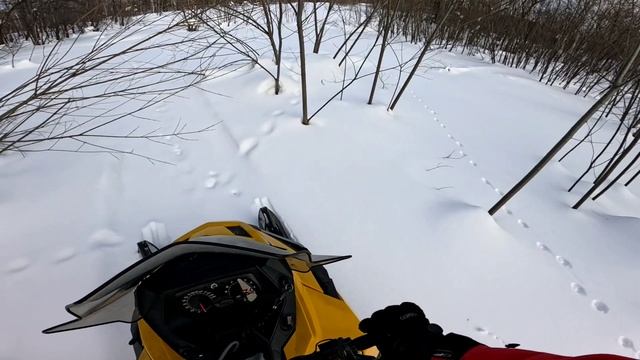 16.03.2025 г. Сахалин/Окончание сезона/