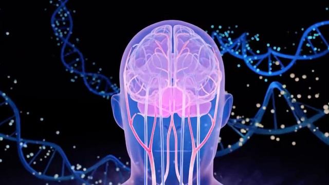 Мозг смотреть онлайн