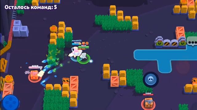 ураааааа ворон #бралстарс смотреть онлайн