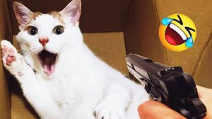 Приколы с животными🫣 Смешные видео про животных 🤗СМЕШНОЕ ВИДЕО🤗 Наши любимые смешные животные