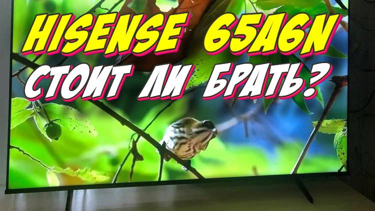 Телевизор HISENSE 65A6N СТОИТ ЛИ БРАТЬ смотреть онлайн