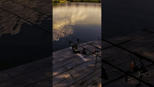 Скоро треск катушек по всей стране смотреть онлайн