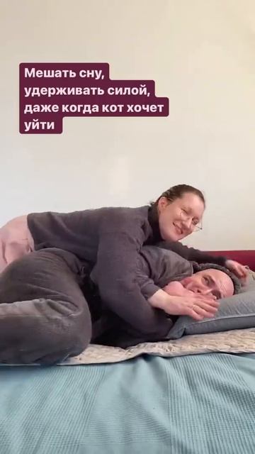 Личное пространство кошек смотреть онлайн