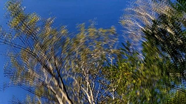 "Жовтень" (Це сонце тисне...) Сергій Осока смотреть онлайн