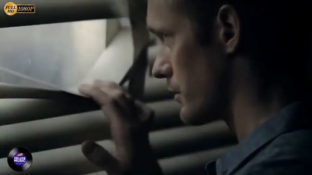 Animal Explorations Unleashed