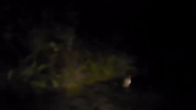 лиса воровка смотреть онлайн