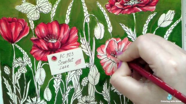 Coloring 'Nightfall / Skymningstimman' Poppies. Part 2 смотреть онлайн