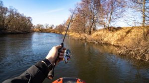 Забрались в ДЕБРИ, а ТУТ - Все ЗАБИТО ЩУКОЙ!