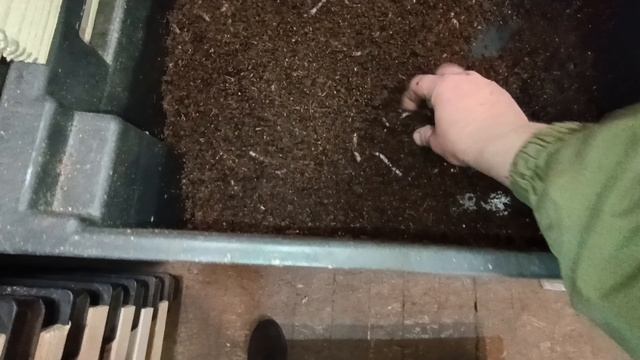 ящики для червя Дендробена, уплотнение