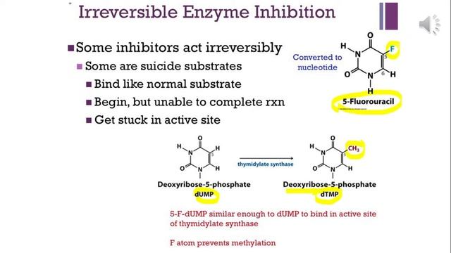3.2.4. Enzyme inhibition смотреть онлайн