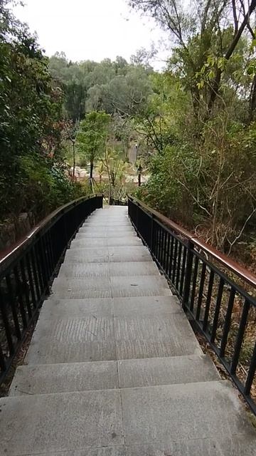 Самый красивый парк в Санье на о.Хайнань в Китае!