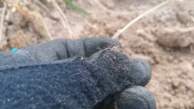 коп семейный и морковное поле смотреть онлайн