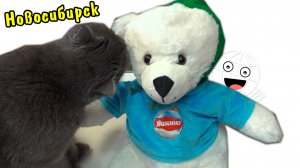 Паша из Новосиба прислал 5кг конфет