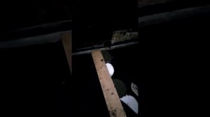 Полы в сарае для коровы