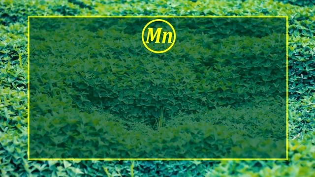 МАРГАНЕЦЬ: 10 ФАКТІВ про елемент ЖИВЛЕННЯ смотреть онлайн