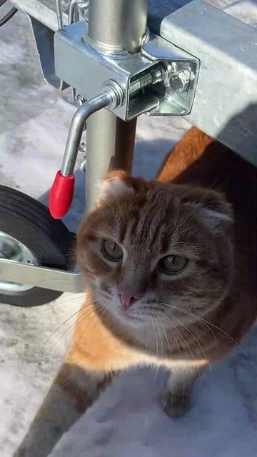 Самый лучший продавец🔥 смотреть онлайн