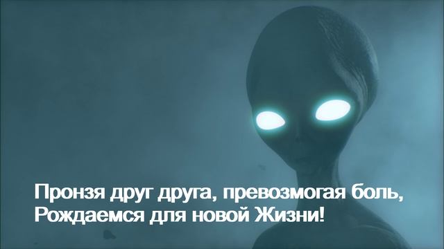 Наглость счастья