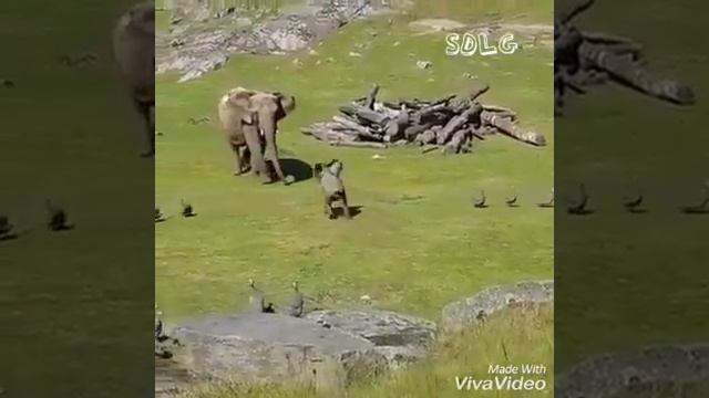 7 de marzo de 2018 смотреть онлайн