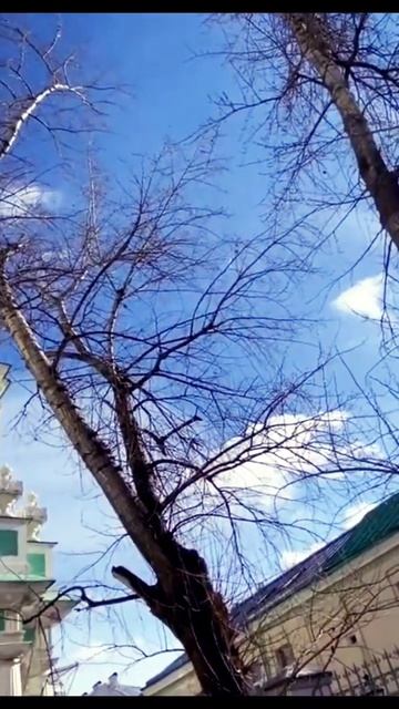 Слава в вышних Богу, и на земли мир… #ансамбльвера смотреть онлайн