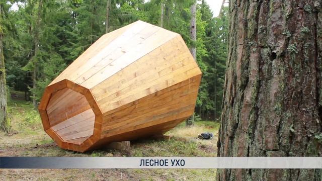 Лесное ухо смотреть онлайн