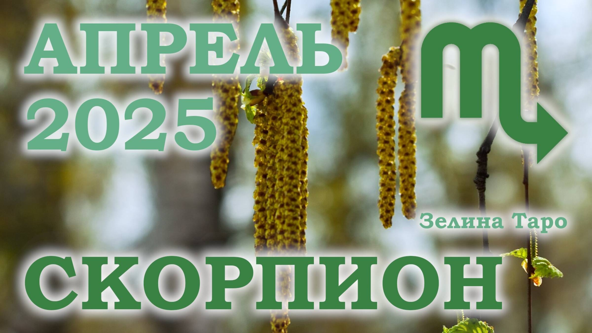 СКОРПИОН | ТАРО прогноз на АПРЕЛЬ 2025 года | Желание | Расклад таро | Таро онлайн смотреть онлайн