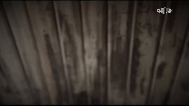 "Бандеровцы. Палачи не бывают героями". Фильм Аркадия Мамонтова смотреть онлайн