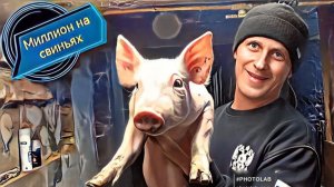Как заработать свой первый миллион на весенних опоросах поросят ! Поросята гиганты!