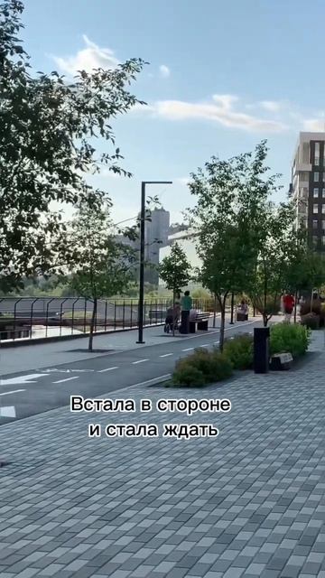 Кошка в переноске, 1 часть. #shorts #социальныйэксперемент #помощьживотным #кот #котенок смотреть онлайн
