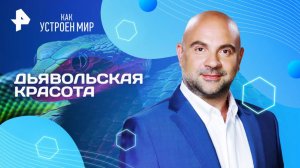 Дьявольская красота — Как устроен мир с Тимофеем Баженовым (26.03.2025)