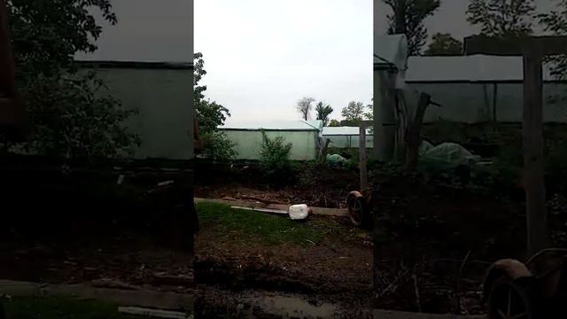 Цветы от мужа 😊 смотреть онлайн