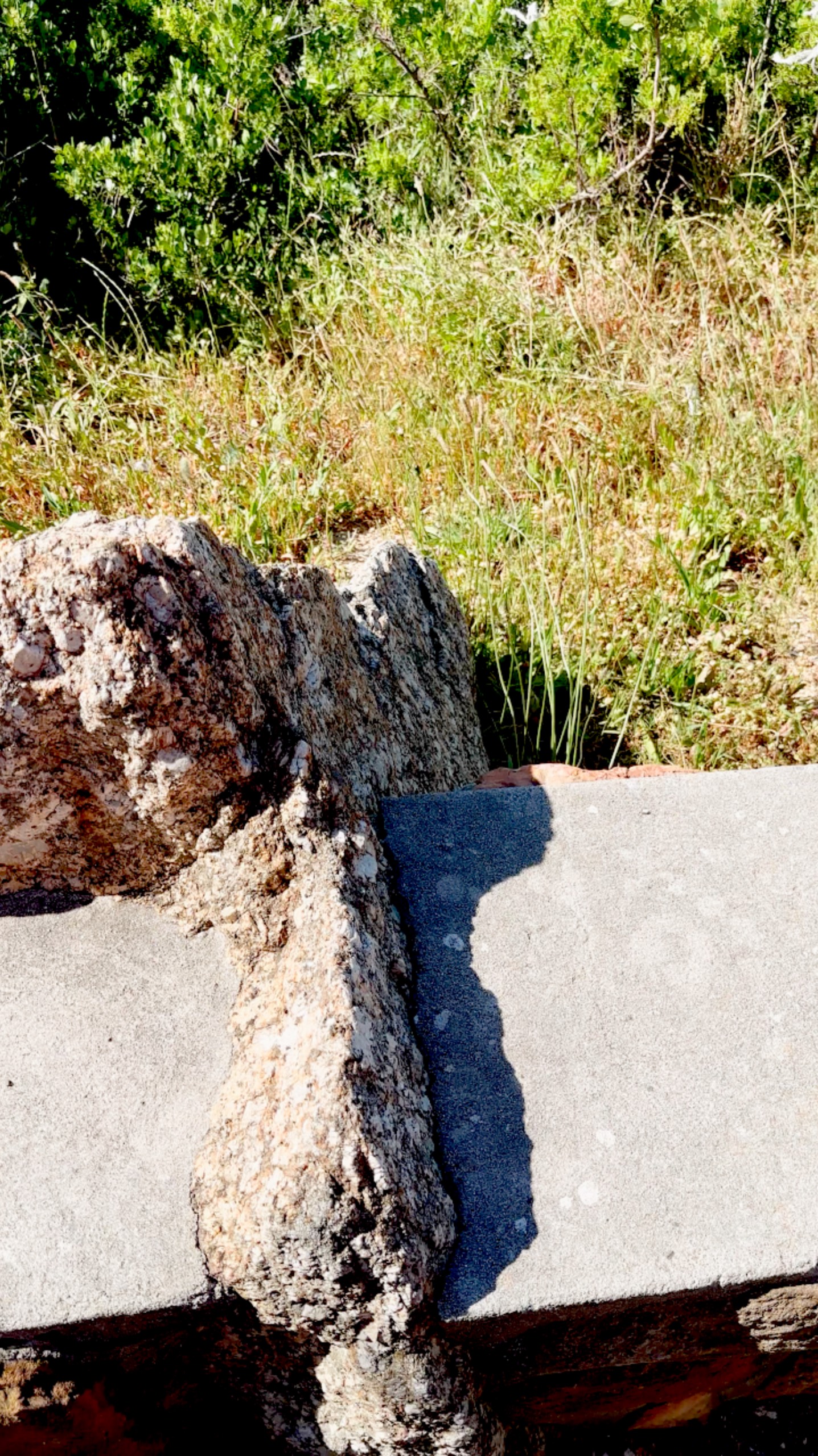 Скала проросла через бетон #ЮАР смотреть онлайн