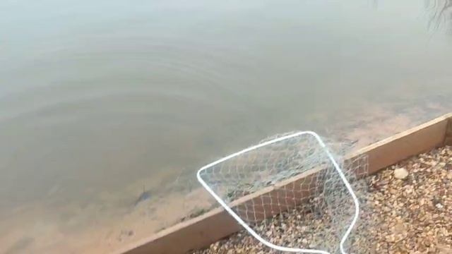 WhatsApp Video 2025-03-26 at 10.15.54 смотреть онлайн