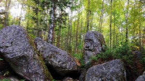 Группа Дятлова. Виноват ли золотой идол манси