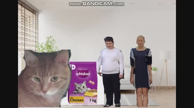 Fake Ginger The Cat Punishes Anya For Life Again (PUNISHED)