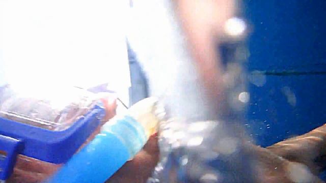 Завтрак с китовыми акулами смотреть онлайн