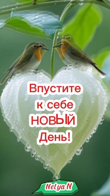 Просыпайтесь. С добрым Утром! ВидеоОткрытка смотреть онлайн