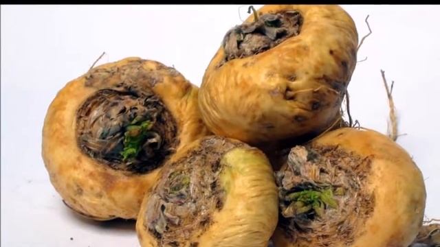 How To Boost Sexual Energy