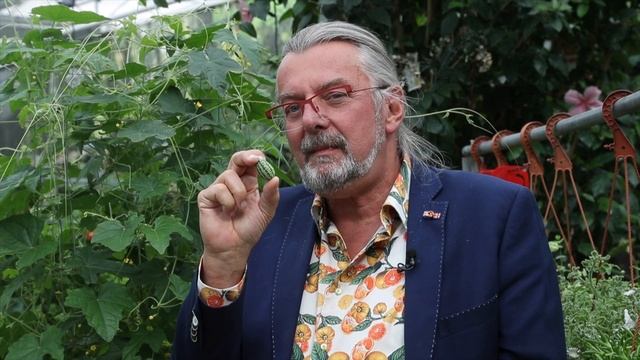 Pepquiño® is available again смотреть онлайн