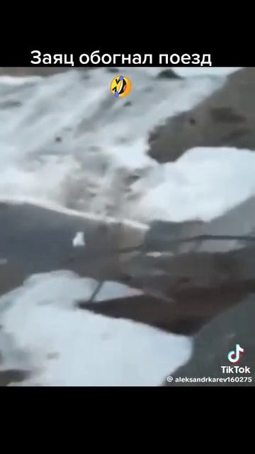 Заяц обогнал поезд смотреть онлайн