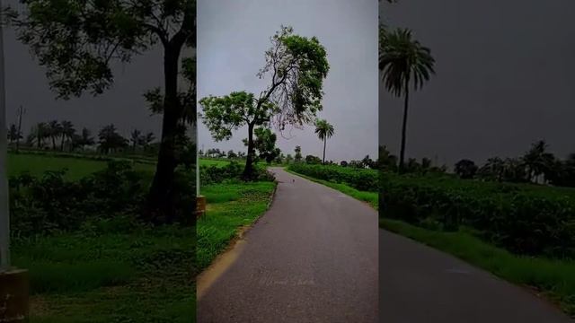 Green Land Malir💚 смотреть онлайн