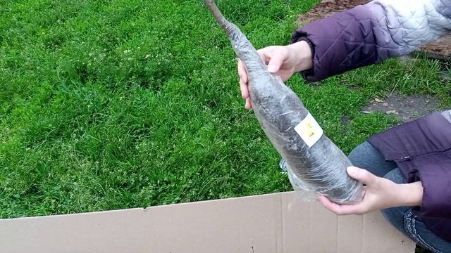 Отзыв Агромаркет (відгук) смотреть онлайн