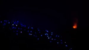 АСМР ВИЗУАЛЬНОЕ и ЗВУКОВОЕ РАССЛАБЛЕНИЕ ЭФФЕКТИВНЫЕ ЗВУКИ Для СНА