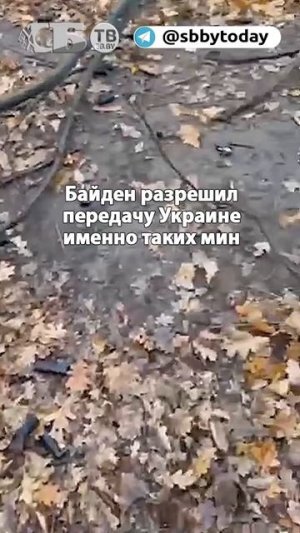 сво